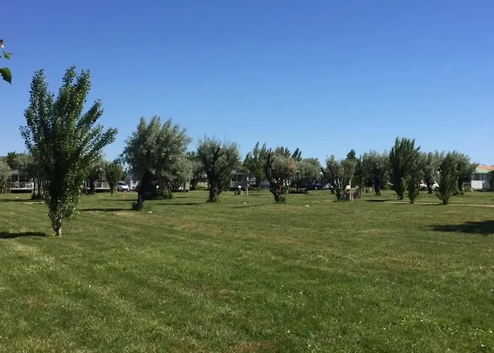 Camping Phare Ouest